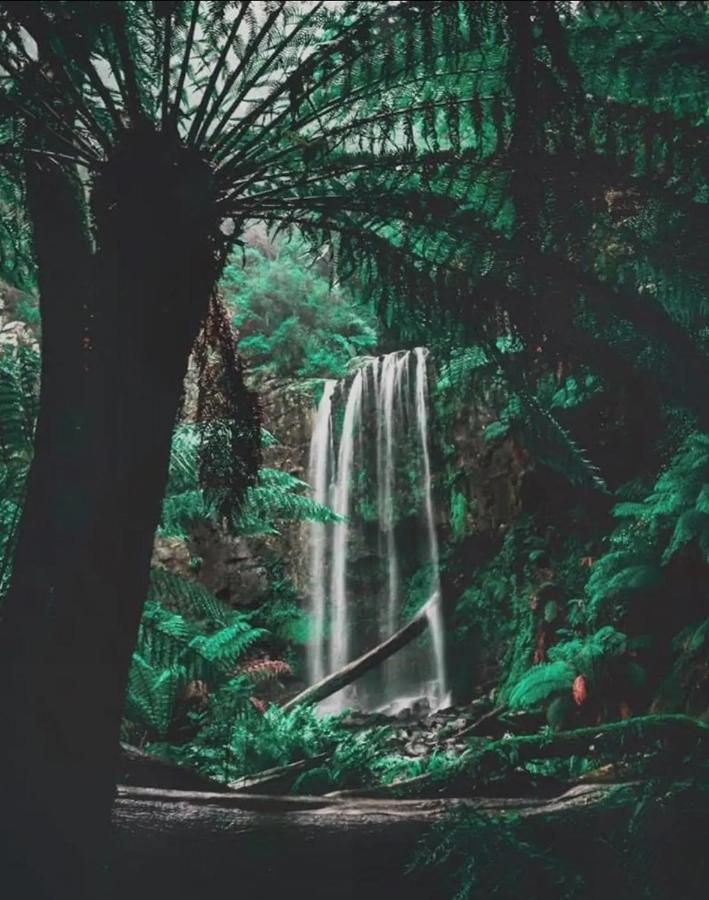 Great Ocean Road Wellness And Nature Stay Apollo Bay Eksteriør bilde