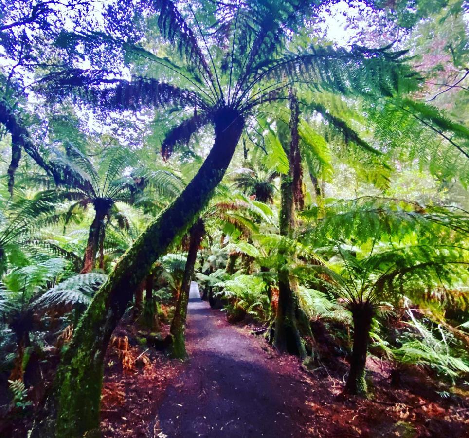 Great Ocean Road Wellness And Nature Stay Apollo Bay Eksteriør bilde