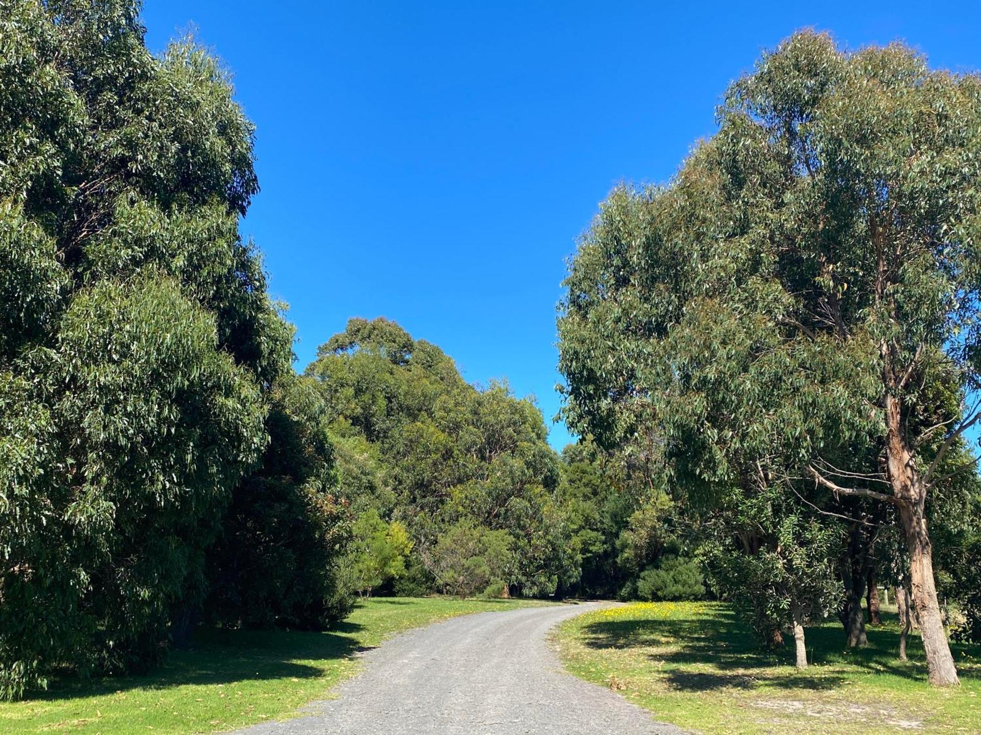 Great Ocean Road Wellness And Nature Stay Apollo Bay Eksteriør bilde