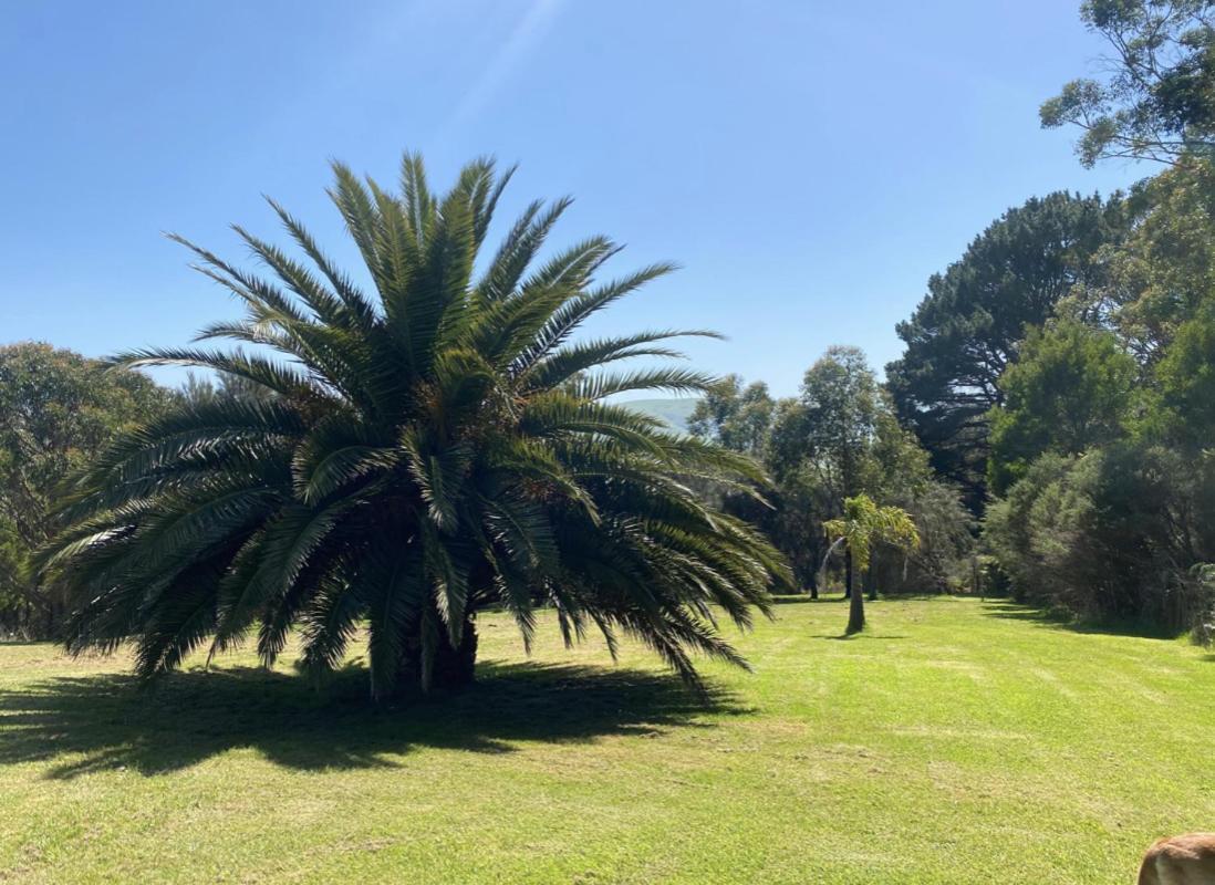 Great Ocean Road Wellness And Nature Stay Apollo Bay Eksteriør bilde